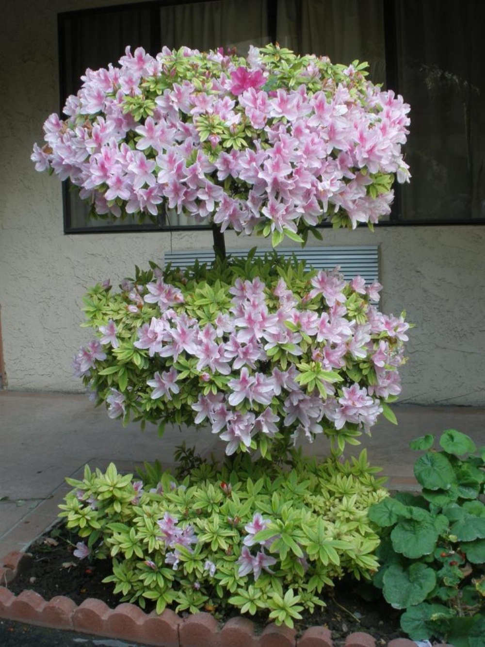 Garden Inn and Suites Glendora